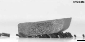 ابداع ربات‌های میکروسکوپی برای انجام کارهای گروهی