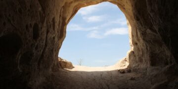 احیای یک بذر ۱۰۰۰ ساله در بیابان یهودا