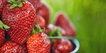 این روش طبیعی با آلرژی‌های غذایی مبارزه می کند