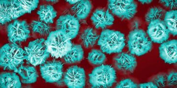 تحول در تحویل هدفمند داروها با میکروذرات گل‌مانند