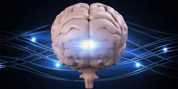 نظارت بر سلامت مغز با فیبرهای نوری