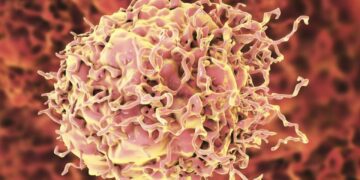 این روش جدید سلول‌های سرطانی را به حالت طبیعی بازمی‌گرداند!