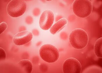 رفع مشکل کمبود خون در دام‌پزشکی با تولید خون سگ در آزمایشگاه