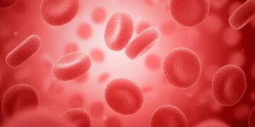 رفع مشکل کمبود خون در دام‌پزشکی با تولید خون سگ در آزمایشگاه