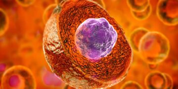 روش جدید هدایت سلول‌های بنیادی و درمان دیابت و پارکینسون