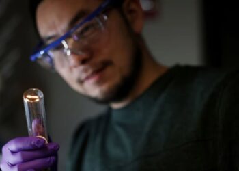 نوع دیگری از لامپهای رشتهای با قابلیتهای جدید ابداع شدند