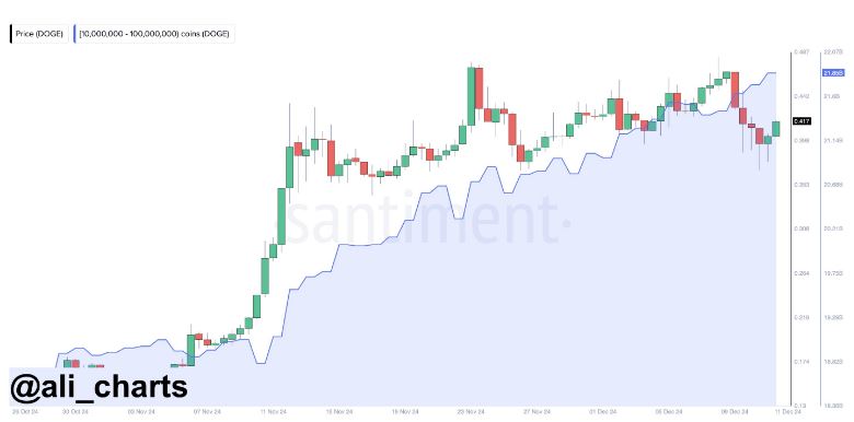 ارز دیجیتال دوجکوین و خرید ۲۱۰ میلیون واحد توسط نهنگها