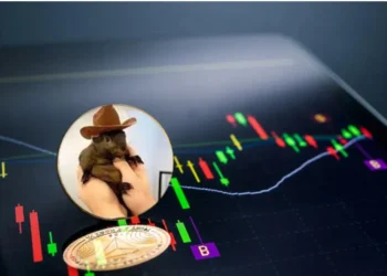 میم کوین پینات در کوین‌بیس لیست می‌شود