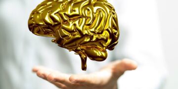 پیری از کدام نقطه در مغز آغاز می شود؟