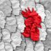 مرگ اولین قربانی آنفولانزای پرندگان در آمریکا