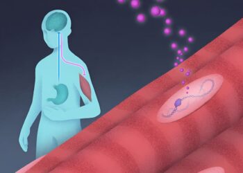 این پروتئین عضلات شما را هنگام کاهش وزن حفظ می کند