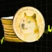 دوجکوین در آستانه یک انفجار بزرگ؛ احتمال افزایش قیمت DOGE به بالای ۰.۵۰ دلار