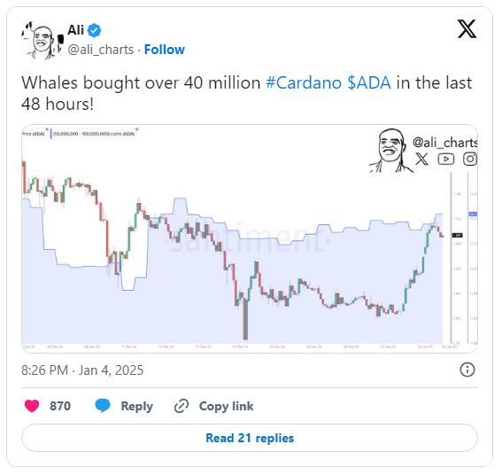 پیش‌بینی قیمت کاردانو؛ نهنگ‌ها 40 میلیون ADA جمع‌آوری کرده‌اند