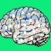 متنباز رقیب برای مدل "استدلالی" o1 شرکت OpenAI را با هزینهای کمتر از ۵۰ دلار توسعه دادند
