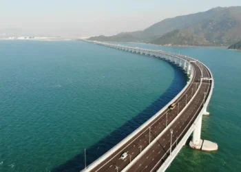 چین به دنبال استفاده بیشتر از بامبو در پروژه‌های بزرگ