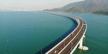 چین به دنبال استفاده بیشتر از بامبو در پروژه‌های بزرگ