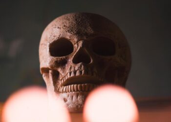 کشف نشانه‌های آدم‌خواری در بقایای ۱۸,۰۰۰ ساله در لهستان