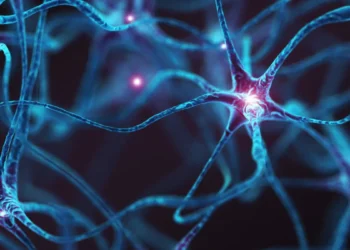 کشف نحوه استفاده مغز از الگوهای تصادفی برای مکان‌یابی