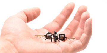 ساخت ربات‌های پرنده با الهام از زنبور عسل