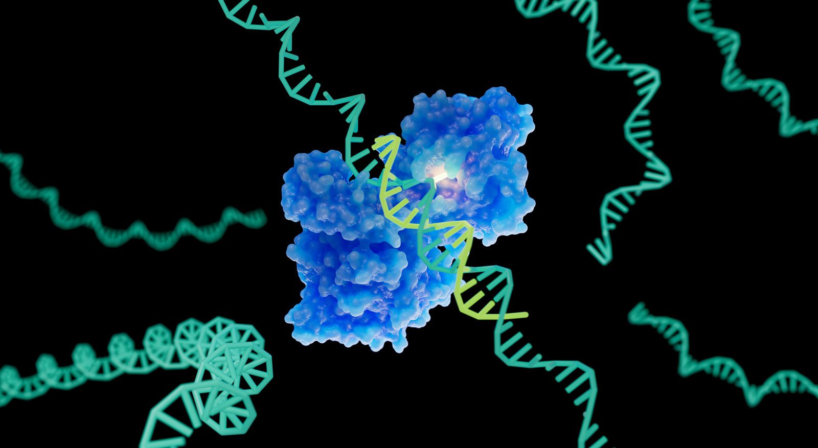 این مکانیسم جدید طراحی داروهای مبتنی بر RNA را بهبود می‌بخشد