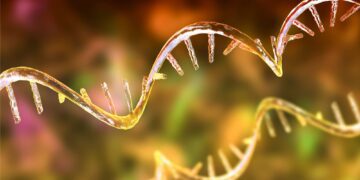 این مکانیسم جدید طراحی داروهای مبتنی بر RNA را بهبود می‌بخشد