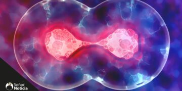 روشی جدید برای پیشگیری و درمان اسکیزوفرنی