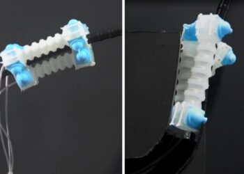 ساخت یک ربات نرم جدید با توانایی تغییر شکل و حرکت