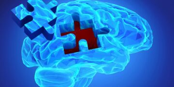 مصرف روزانه کافئین حجم ماده خاکستری مغز را کاهش می‌دهد