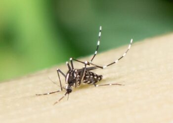 گسترش ویروس زیکا در جهان