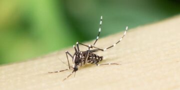 گسترش ویروس زیکا در جهان