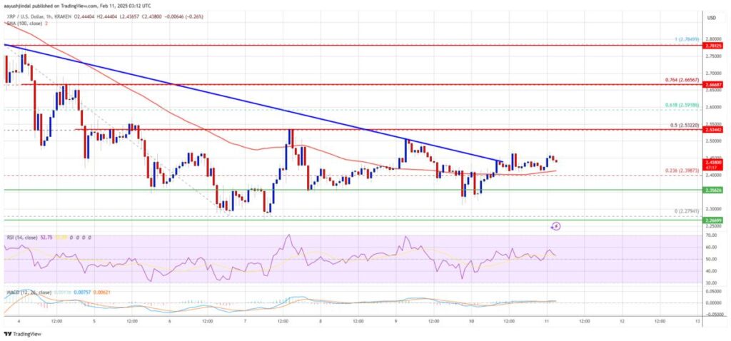 تلاش ریپل (XRP) برای بازگشت به مدار رشد