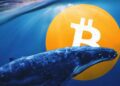 ارزهای دیجیتالی که نهنگ‌ها در حال خرید آنها در بحبوحه سقوط بازار هستند