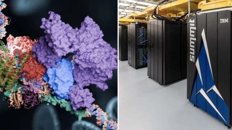 توسعه درمان‌های جدید با شبیه‌سازی مسیر ترمیم DNA توسط ابررایانه‌ها