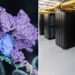 توسعه درمان‌های جدید با شبیه‌سازی مسیر ترمیم DNA توسط ابررایانه‌ها