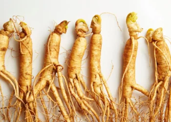 مقابله با پیری پوست با ترکیب K جادویی موجود در جینسینگ