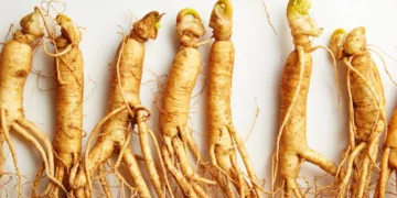 مقابله با پیری پوست با ترکیب K جادویی موجود در جینسینگ