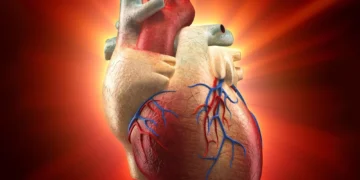 ارتباط ویروس HPV با افزایش خطر بیماری‌های قلبی