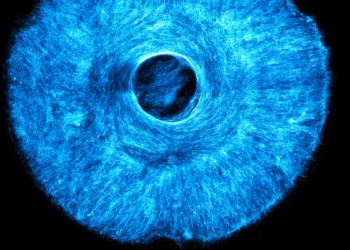 تحول در رباتیک با توسعه عضلات مصنوعی چندجهته