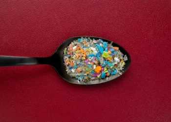 در مغز انسان یک قاشق پر میکروپلاستیک وجود دارد!