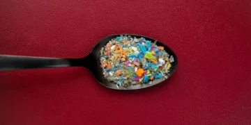 در مغز انسان یک قاشق پر میکروپلاستیک وجود دارد!