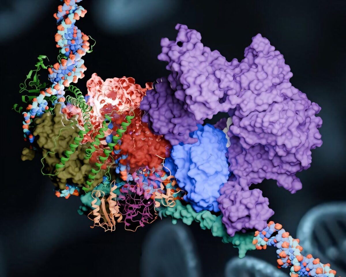 پیشرفت در درمان‌های نوین با استفاده از شبیه‌سازی‌های ابررایانه‌ای برای مسیر ترمیم DNA