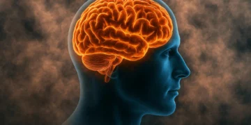 آلودگی هوا باعث کاهش توانایی‌های مغزی در سالمندان می‌شود