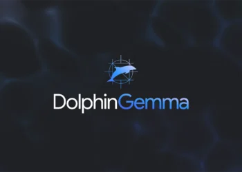 گوگل از هوش مصنوعی DolphinGemma برای رمزگشایی زبان دلفین‌ها رونمایی کرد