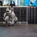 همکاری بزرگ هیوندای و شرکت رباتیک Boston Dynamics