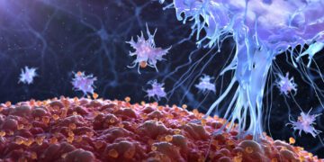 دانشمندان مرحله جدیدی از پاسخ ایمنی را کشف کردند