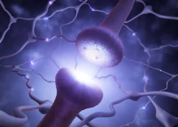 آیا سلول‌های عصبی می‌توانند نور را از خود عبور دهند؟