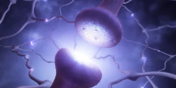 آیا سلول‌های عصبی می‌توانند نور را از خود عبور دهند؟