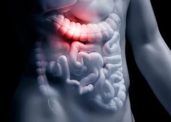 فیبر محلول یک سد دفاعی در روده برای مقابله با عفونت‌های خطرناک