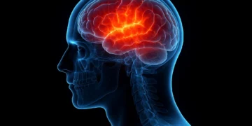 کشف روش درمانی جدید برای آسیب‌های مغزی