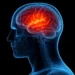 کشف روش درمانی جدید برای آسیب‌های مغزی